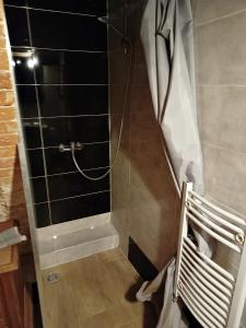 een douche met een glazen deur in een badkamer bij My Secret Place. in Zielona Góra +11 foto's