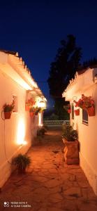 une allée avec des plantes et des bâtiments en pot la nuit dans l'établissement Las Escuelas del Ayer Vivienda Turística de Alojamiento Rural, à Bélmez de la Moraleda