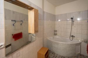 a bathroom with a bath tub in a room at Red Point in Tábor