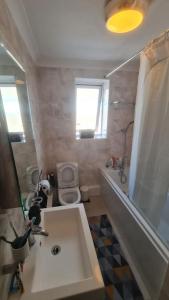 a bathroom with a sink and a toilet and a shower at Bright & Lovely & apartment in Whetstone