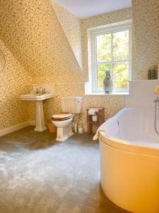 a bathroom with a tub and a toilet and a sink at Luxury Loch Tay Lodge in Aberfeldy