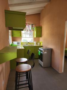 布里奇敦的住宿－El Palacio Hidden City Place #2，厨房配有绿色橱柜和2个酒吧凳