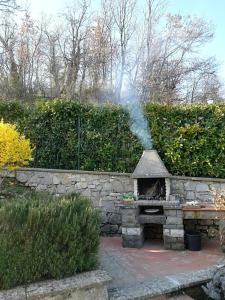 A garden outside Casa Conny
