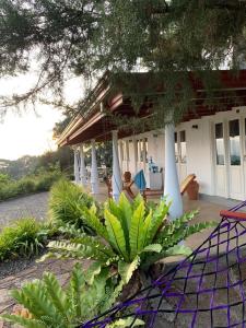 uma casa com muitas plantas à frente dela em Welikande Yoga Retreats em Digana
