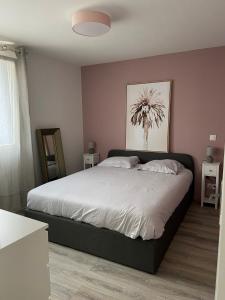 1 dormitorio con 1 cama grande en una habitación en Belle maison de vacances avec patio - pour 6 pers - à deux pas de la grande plage et du centre ville en Les Sables-dʼOlonne