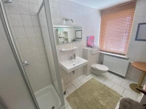 uma casa de banho com um WC, um lavatório e um chuveiro em FeWo hohetanne1 em Großbreitenbach
