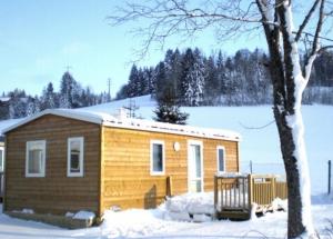 een klein houten huis in de sneeuw met een boom bij Camping Le Miroir in Les Hôpitaux-Neufs
