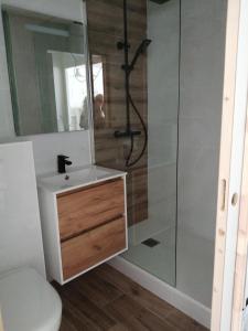 ein Bad mit einer Dusche, einem WC und einem Waschbecken in der Unterkunft Appartement vue sur mer, 100 m de la plage in Carantec