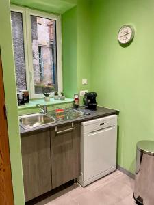 uma cozinha com paredes verdes, um lavatório e uma janela em Jacquemart em Moulins