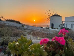 a windmill and flowers in front of a sunset at Sunset Queen in Oia in Oia