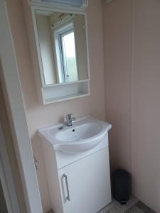 uma casa de banho com um lavatório e um espelho em Chalet duunzicht Texel em De Cocksdorp