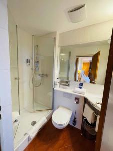 uma casa de banho com um chuveiro, um WC e um lavatório. em Panoramahotel Grobauer em Spiegelau