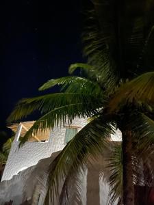 una palmera frente a un edificio blanco en Aldeia Coqueiral, en Caraíva