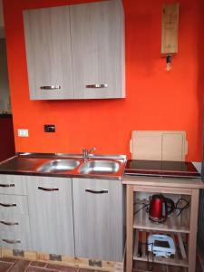 ブーチネにあるAppartamento Biricocoloのオレンジ色の壁のキッチン(シンク付)