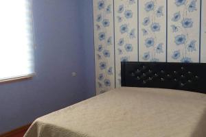 ein Schlafzimmer mit einem Bett mit einer blau-weißen Wand in der Unterkunft Cheerful 4-bedroom home in Samtredia, Georgia in Samtredia