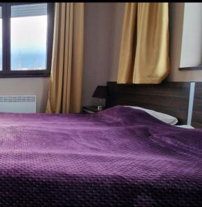 Cama morada en un dormitorio con ventana en Apartaments by Zenit in Terra Complex B16 & C18 near Bansko, en Razlog