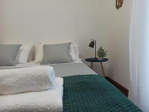 奧爾塔的住宿－Dutra's House，一间卧室配有一张带绿毯的床