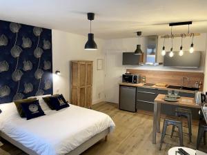 1 dormitorio pequeño con 1 cama y cocina en ALP Chartres - Cosy studio au cœur de Chartres avec Parking, en Chartres