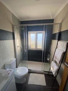 a bathroom with a toilet and a glass shower at Apartamentos Barbosa in Vila Nova de Foz Coa