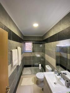 a bathroom with a sink and a toilet and a tub at Apartamentos Barbosa in Vila Nova de Foz Coa