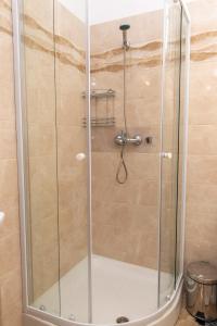 a shower with a glass door in a bathroom at Stegna Holiday in Archangelos