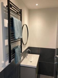 uma casa de banho com um lavatório e um espelho em loods 14-2 em Groningen