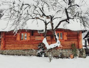 a log cabin with snow on the branches of a tree at Jabłoniowa Chatka in Kalwaria Pacławska
