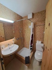 a bathroom with a sink and a toilet and a shower at Studio Röven in Scuol