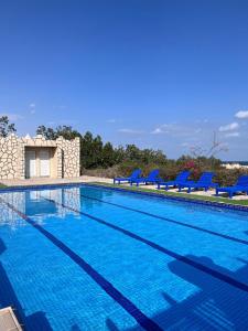 ein großer Pool mit blauen Stühlen in einem Resort in der Unterkunft Al-Ashkhara Beach Resort منتجع شاطئ الأشخرة in Al Sharqiyah