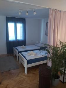 Postel nebo postele na pokoji v ubytování Beach House Valerija