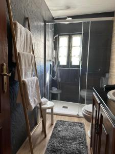 La salle de bains est pourvue d'une douche, de toilettes et d'un lavabo. dans l'établissement Quinta do Chao D'Ordem, à Vila Nova de Foz Coa