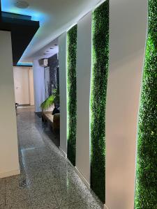 a hallway with a green wall in a building at Modern & Central 3 minutes from the River in Vila Nova de Gaia