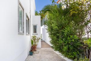 un corridoio di una casa bianca con piante di Lx Villa -10 m to downtown,14 ppl,cowork, pool and lift a Lisbona
