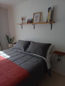 a bedroom with a bed with two shelves on the wall at Mini Casa Rocura Valdivia in Valdivia