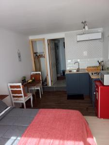 a kitchen with a sink and a counter top at Mini Casa Rocura Valdivia in Valdivia