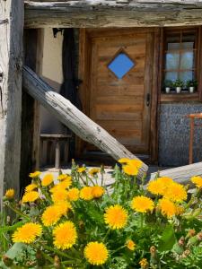 Foto sihtkohas Saas-Fee asuva majutusasutuse Châlet Birkhahn galeriist