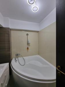 Koupelna v ubytování Oana Luxury Home + 18 fotografií