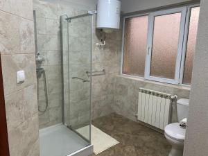 uma casa de banho com uma cabina de duche em vidro e um WC. em pensiunea grecu em Lugoj