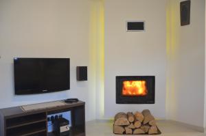 a living room with a fireplace and a flat screen tv at Domek Maja in Wołkowyja