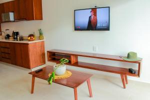 TV a/nebo společenská místnost v ubytování Gama 09 Apartments