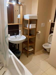 łazienka z umywalką i toaletą w obiekcie Germar Apartman w mieście Pecz