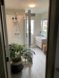 a bathroom with a shower and a plant at B&B Villa Navy in Koksijde