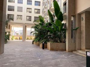 een binnenplaats in een gebouw met potplanten bij Tranquilo ,Acogedor y Comodo in Casablanca