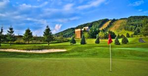 a golf course with a red flag on a green field at The Lodge at Wisp in McHenry