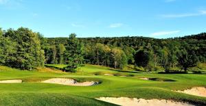 vista su un campo da golf con alberi e un verde di The Lodge at Wisp a McHenry