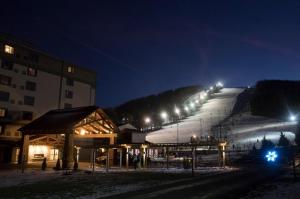 Foto dalla galleria di The Lodge at Wisp a McHenry