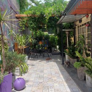 un patio con mesa, sillas y plantas en La Glicina casa en La Plata