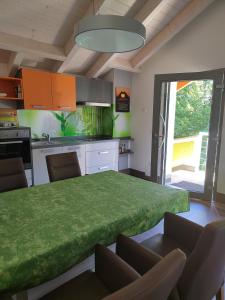 パッサウにあるPassau "Am Sulzsteg" 9のキッチン(大きな緑のテーブルと椅子付)