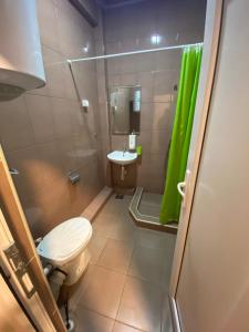 ein Bad mit einem WC, einem Waschbecken und einer Dusche in der Unterkunft Skadar Lake Family Resort in Rijeka Crnojevića