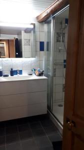 uma casa de banho com um chuveiro, um lavatório e um espelho. em duplex vieille ville, à partager avec 2 chats em Briançon